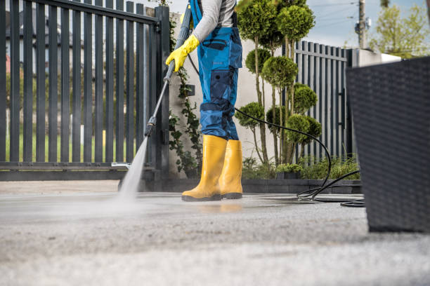 Best Driveway Cleaning and Restoration in East Bethel, MN